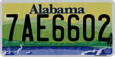 AL license plate 7AE6602