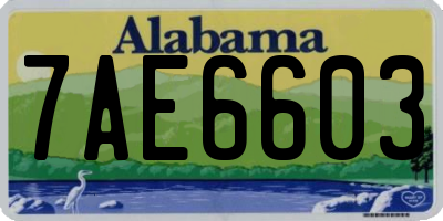 AL license plate 7AE6603