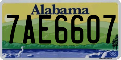 AL license plate 7AE6607