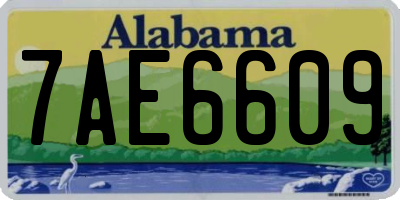 AL license plate 7AE6609