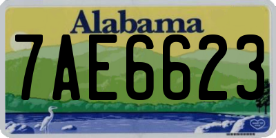 AL license plate 7AE6623