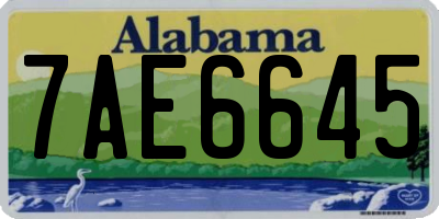 AL license plate 7AE6645