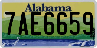 AL license plate 7AE6659