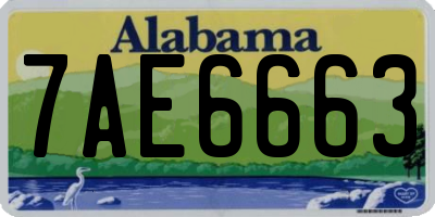 AL license plate 7AE6663