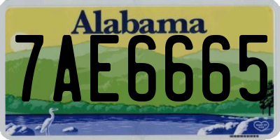 AL license plate 7AE6665