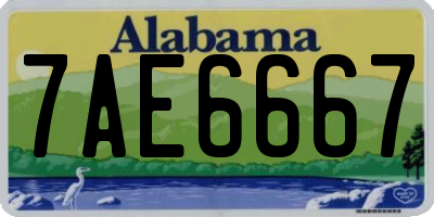 AL license plate 7AE6667