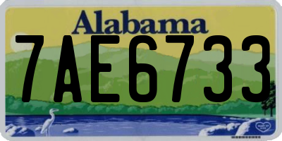 AL license plate 7AE6733