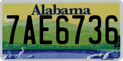 AL license plate 7AE6736