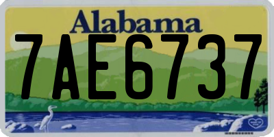 AL license plate 7AE6737