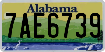 AL license plate 7AE6739