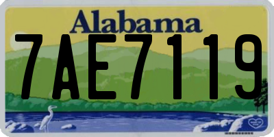 AL license plate 7AE7119
