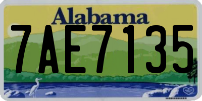 AL license plate 7AE7135