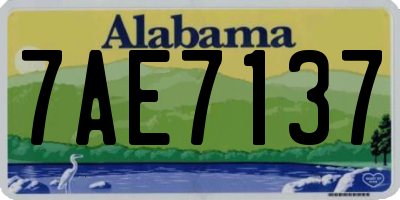 AL license plate 7AE7137