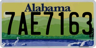 AL license plate 7AE7163