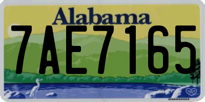 AL license plate 7AE7165