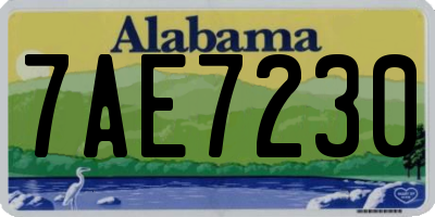 AL license plate 7AE7230