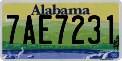 AL license plate 7AE7231