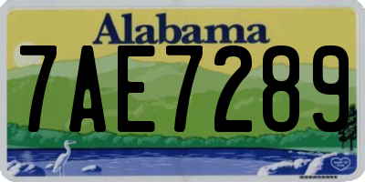 AL license plate 7AE7289