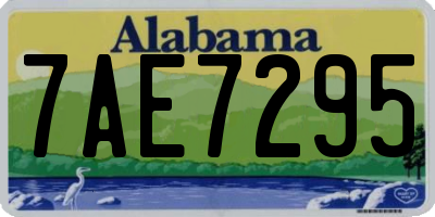 AL license plate 7AE7295