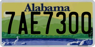 AL license plate 7AE7300