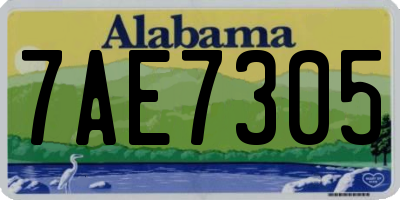 AL license plate 7AE7305