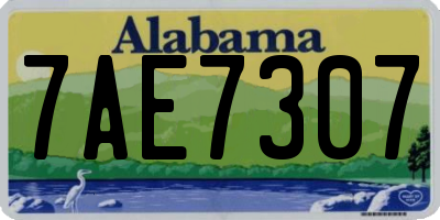 AL license plate 7AE7307