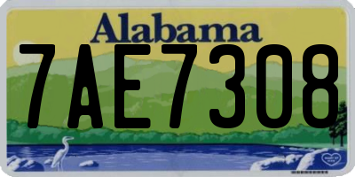 AL license plate 7AE7308