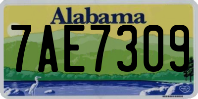 AL license plate 7AE7309