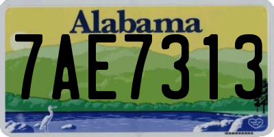 AL license plate 7AE7313