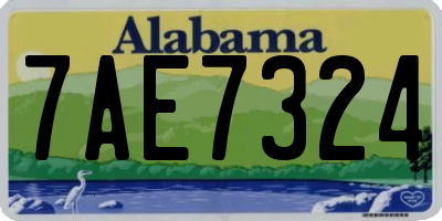 AL license plate 7AE7324