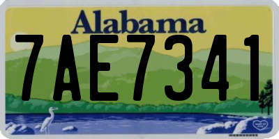 AL license plate 7AE7341