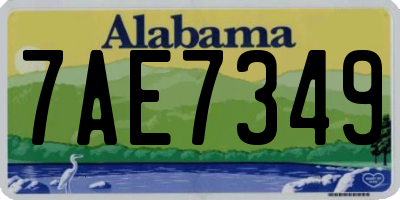 AL license plate 7AE7349