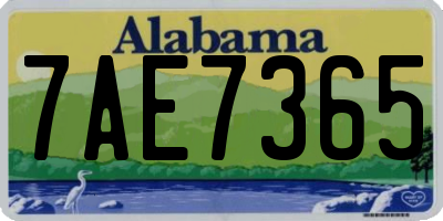 AL license plate 7AE7365