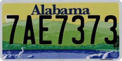 AL license plate 7AE7373