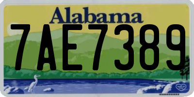 AL license plate 7AE7389