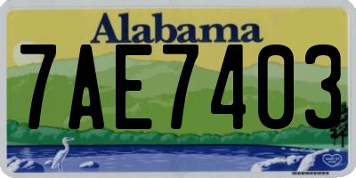 AL license plate 7AE7403