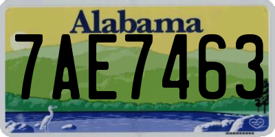 AL license plate 7AE7463