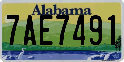 AL license plate 7AE7491