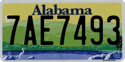 AL license plate 7AE7493