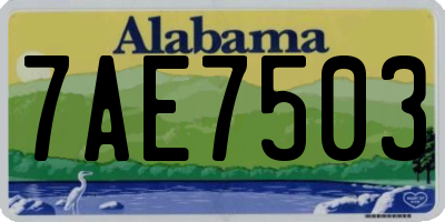 AL license plate 7AE7503