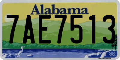 AL license plate 7AE7513