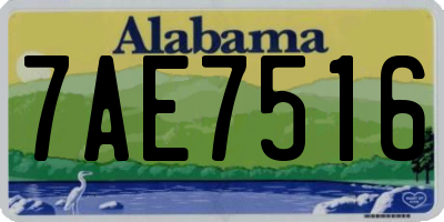AL license plate 7AE7516