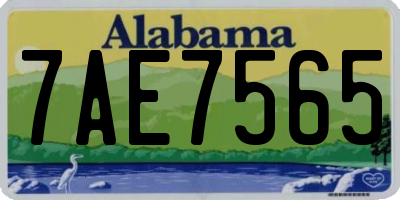 AL license plate 7AE7565