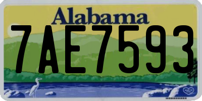 AL license plate 7AE7593