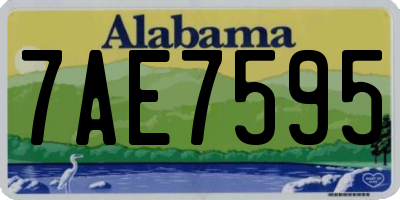 AL license plate 7AE7595