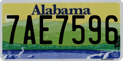 AL license plate 7AE7596