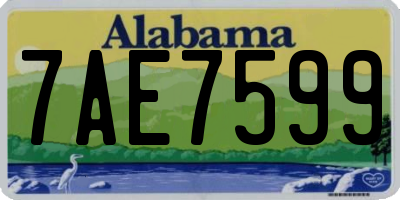 AL license plate 7AE7599