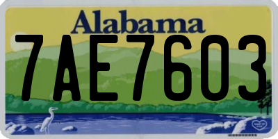 AL license plate 7AE7603
