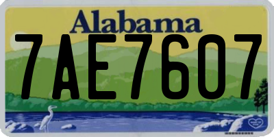 AL license plate 7AE7607