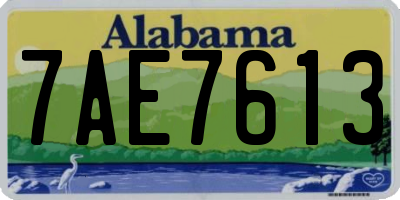AL license plate 7AE7613